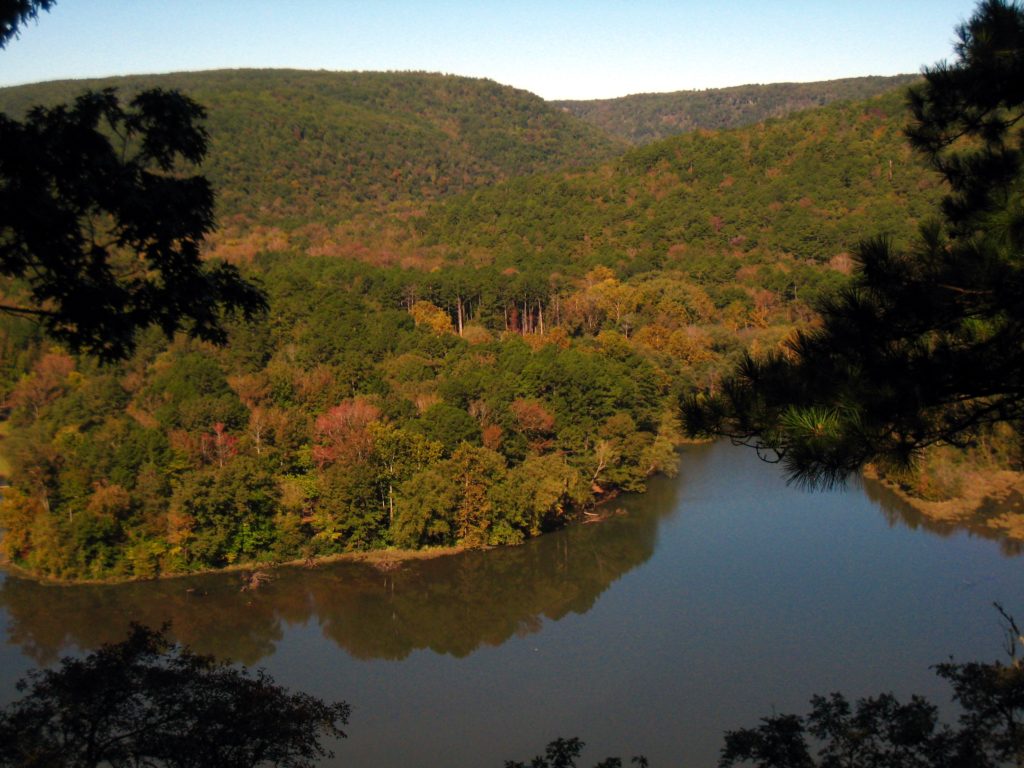 Long-term effects of climate change facilitated by studying climate relicts