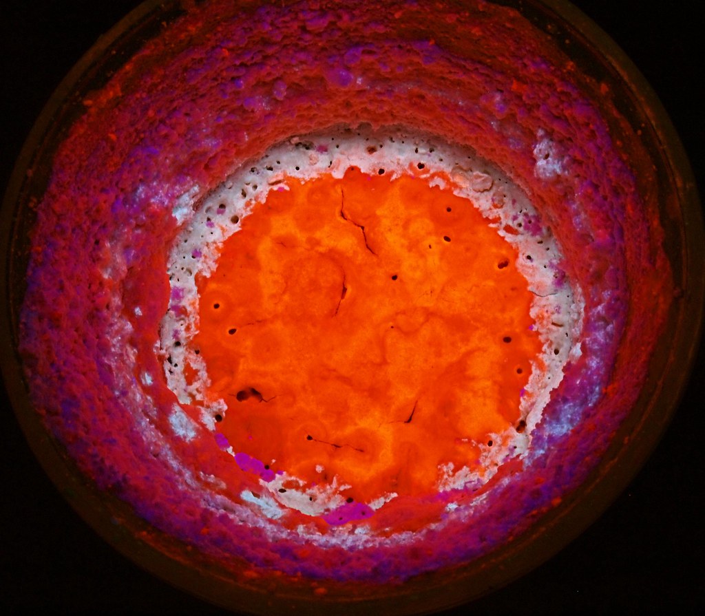 A special kind of bacteria lets cement fix itself