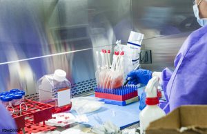 Modern tissue culture at NASA