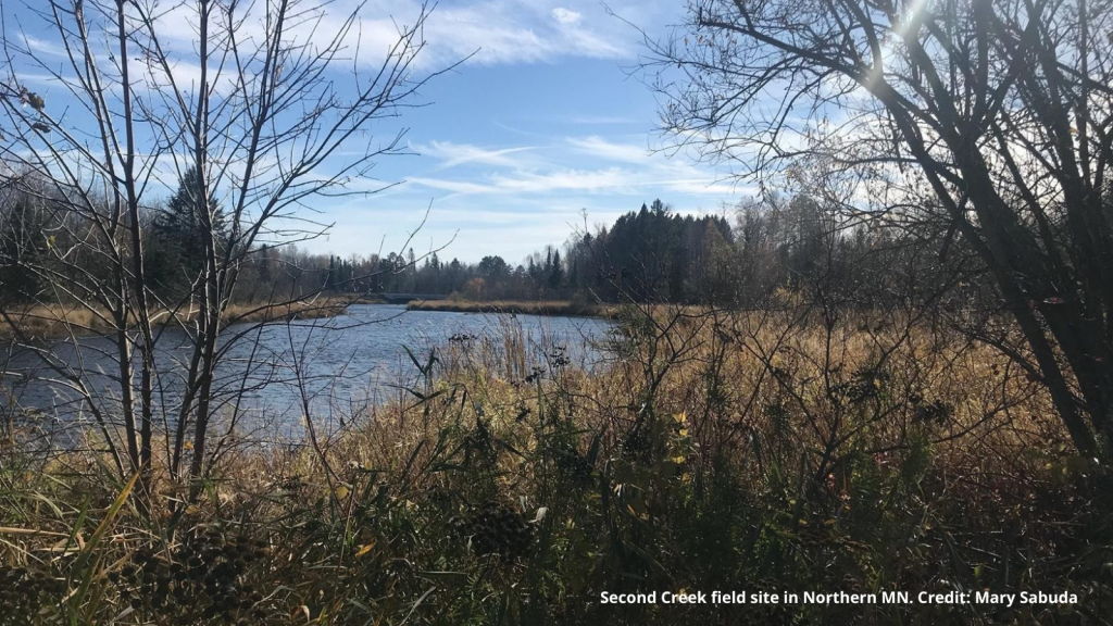 Can hidden sulfur cycling influence greenhouse gas emissions in wetlands?