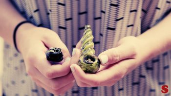 Child with glass pipe