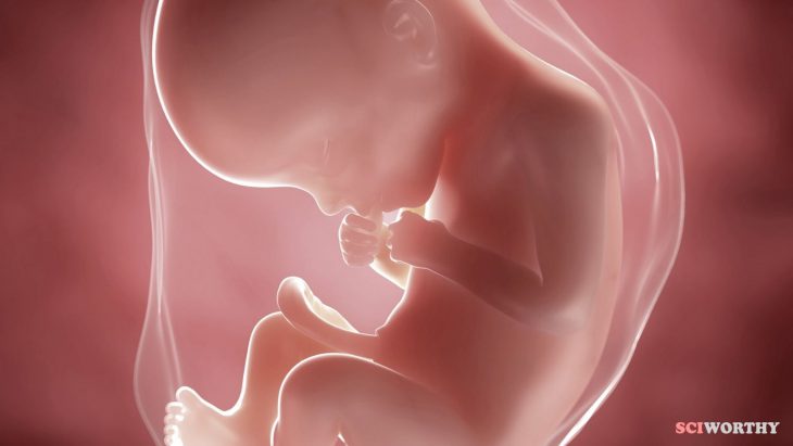 Editing genes before birth as a new therapy
