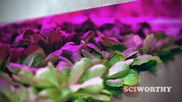 Could quantum dots reduce the cost of indoor farming?